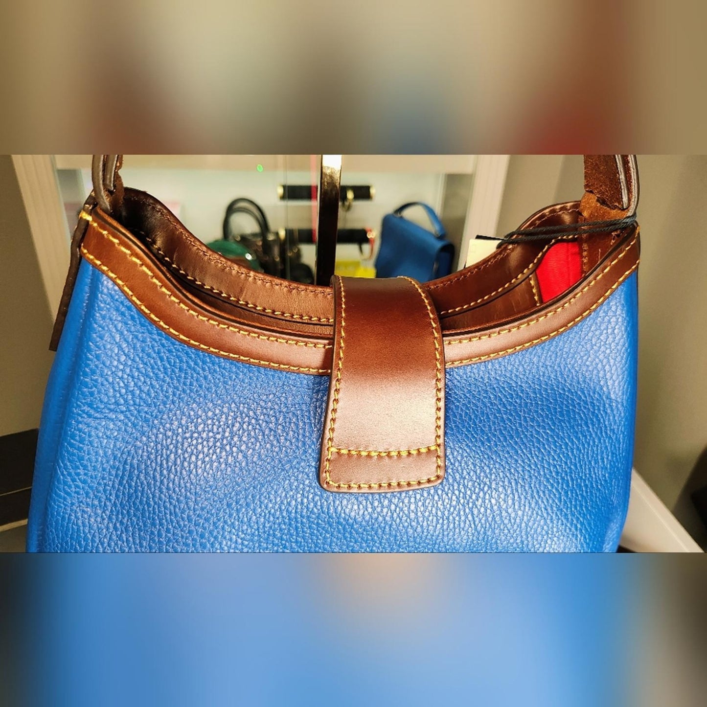 Dooney & Bourke Blue and Brown Shoulder Bag