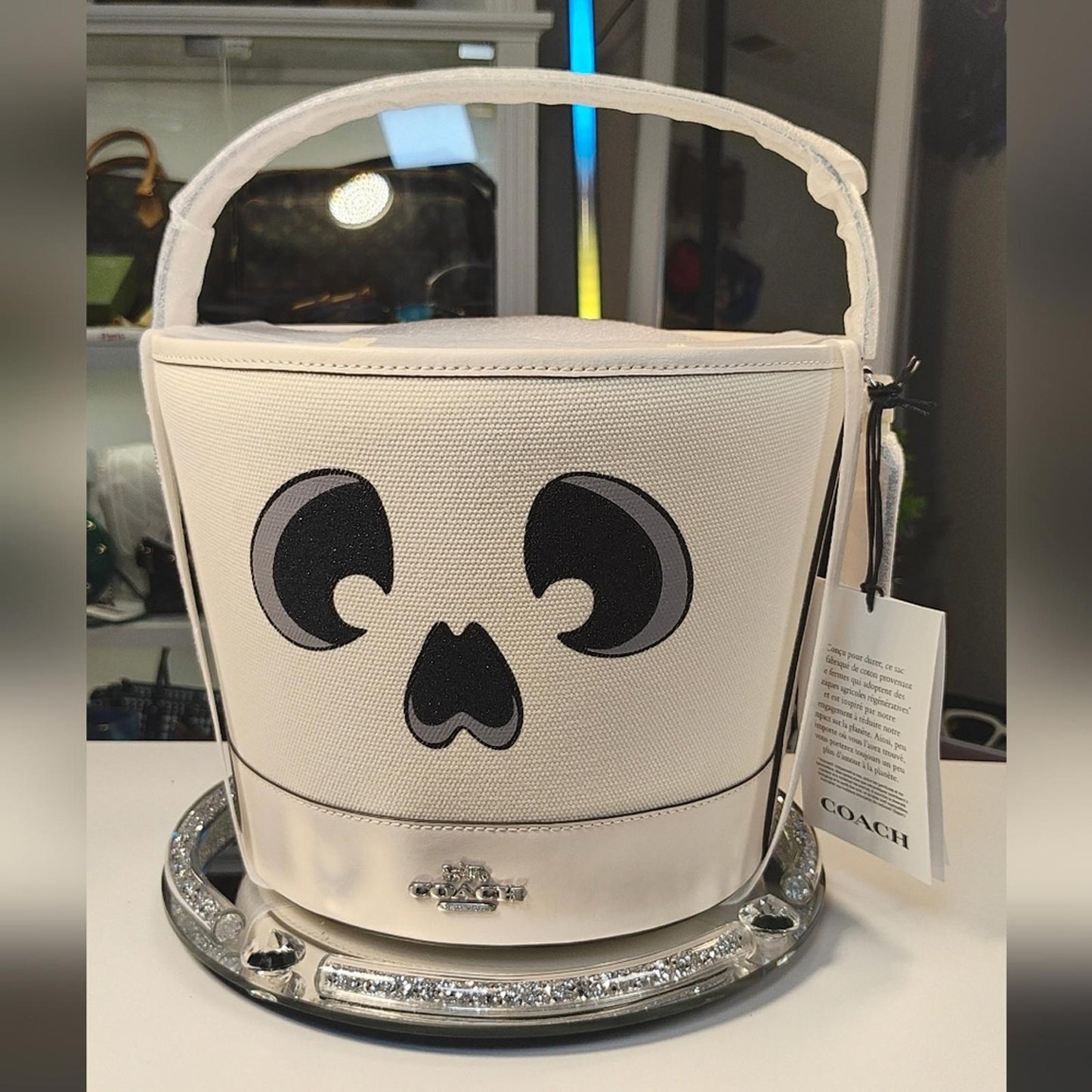 Coach White Skeleton Bucket Bag (HALLOWEEN)