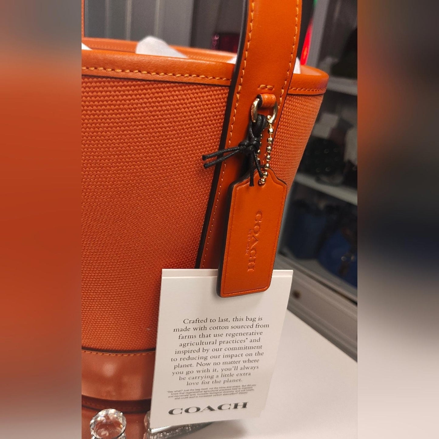 Coach Orange Pumpkin Bucket Bag (HALLOWEEN)