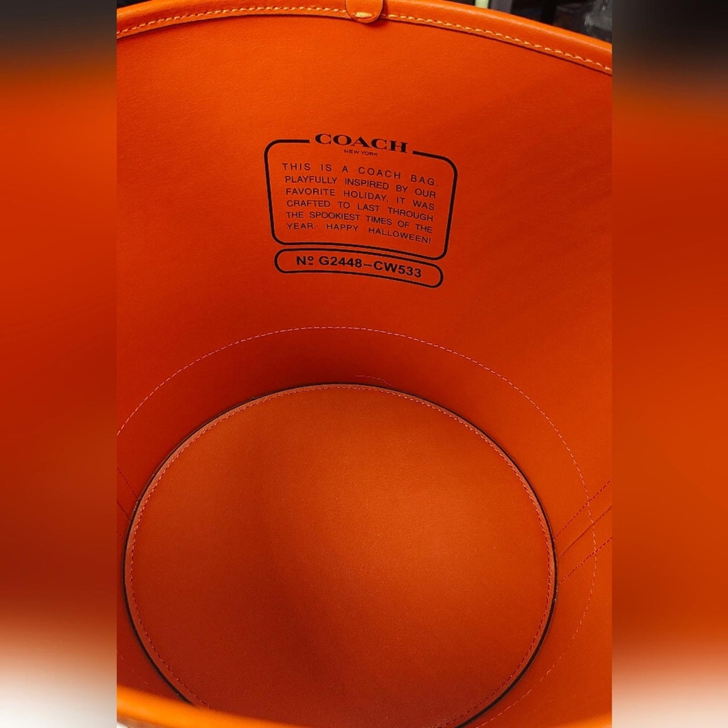 Coach Orange Pumpkin Bucket Bag (HALLOWEEN)