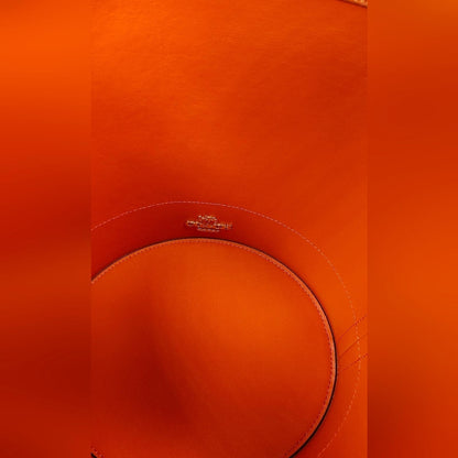 Coach Orange Pumpkin Bucket Bag (HALLOWEEN)